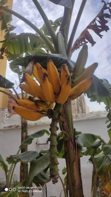 Precioso Apartamento Con A/A En Ruzafa Con Terracita Privada Y Acceso A Un Jardin, Para 2-3 Personas 瓦伦西亚 外观 照片